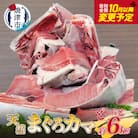 大きな 天然 まぐろ カマ 業務用 約6kg BBQにも(a10-907)