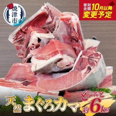 大きな 天然 まぐろ カマ 業務用 約6kg BBQにも(a10-907)