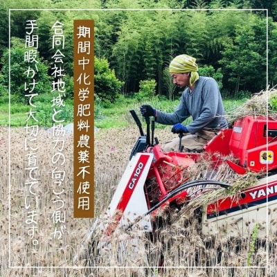 もち麦 【1.6kg】 そのままごはんと一緒にすぐ炊ける 8ぶづき G15-11  