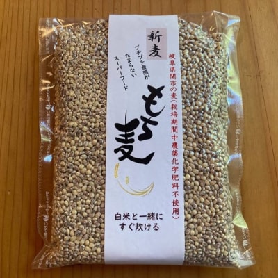 もち麦 【1.6kg】 そのままごはんと一緒にすぐ炊ける 8ぶづき G15-11  