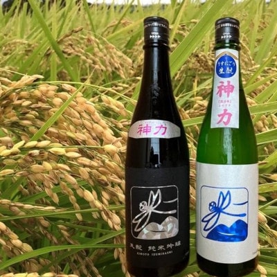 神力(しんりき)純米吟醸酒720ml×2本