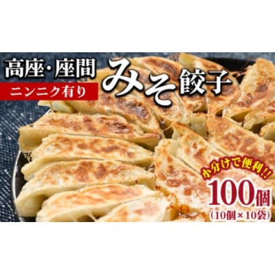 高座・座間みそ餃子(ニンニク有り)100個(10個×10袋)冷凍　小分け　もっちりした特製皮