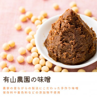 有山農園の無添加手作り味噌　720g×2個