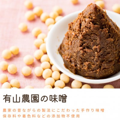 有山農園の無添加手作り味噌　720g×3個