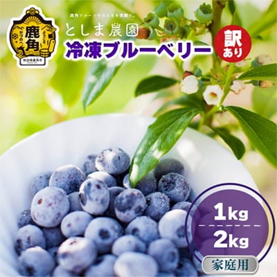 令和7年産【訳あり】秋田県鹿角産 冷凍ブルーベリー 家庭用 1kg(サイズMIX)【としま農園】