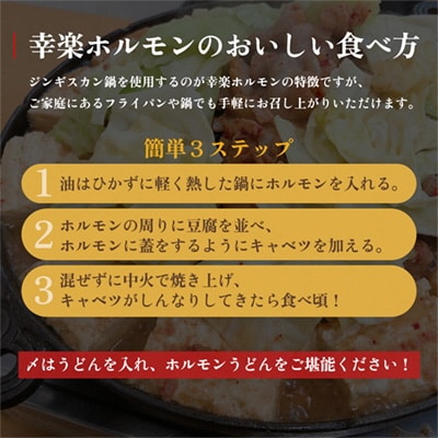 まるごと幸楽ホルモンセット 6人前【ホルモン幸楽】 
