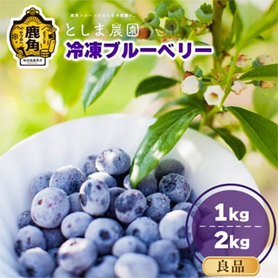 令和7年産 冷凍ブルーベリー 良品 1kg(サイズMIX)【としま農園】