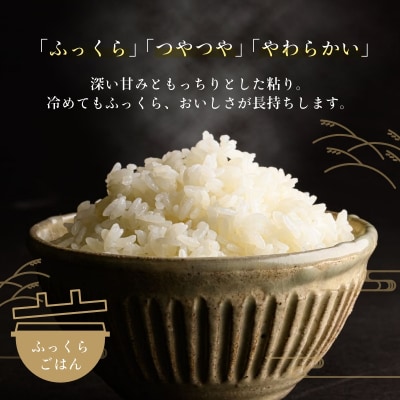 令和7年産 新米 北海道米 函館育ち「ふっくりんこ」5kg(5kg×1袋)_HD037-001