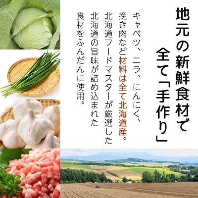 北海道産鶏肉を使った手羽先餃子20個セット(5個×4袋)≪配送地域限定≫