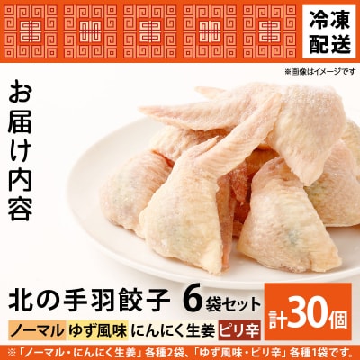 北海道産鶏肉を使った手羽先餃子30個セット(5個×6袋)≪配送地域限定≫