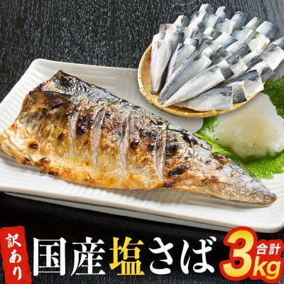 さば 〈 訳あり 〉 国産 塩さば フィーレ 3kg 冷凍 さば 切身 フィレ 鯖 不揃い 石巻応援