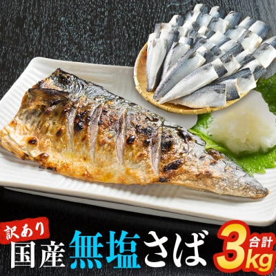 訳あり 無塩サバフィレ3.0kg (30枚前後)  冷凍 さば 鯖 不揃い お魚 焼き魚 石巻応援