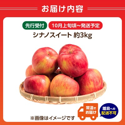 《先行受付》シナノスイート約3kg 【2025年10月中旬頃～発送予定】 001-106