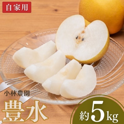 和梨 豊水 自家用 約5kg 小林農園 【010P072】