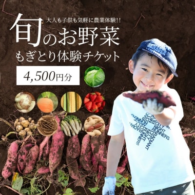 【旬のお野菜・もぎとり体験チケット 4,500円分】 H025-011