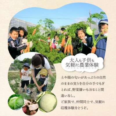 【旬のお野菜・もぎとり体験チケット 4,500円分】 H025-011