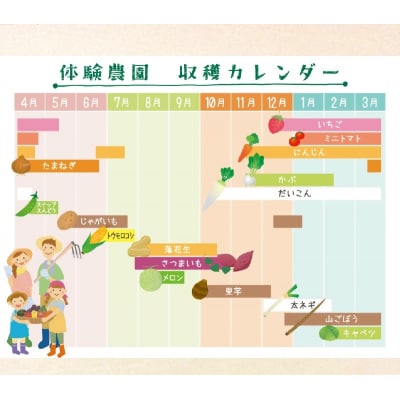 【旬のお野菜・もぎとり体験チケット 4,500円分】 H025-011