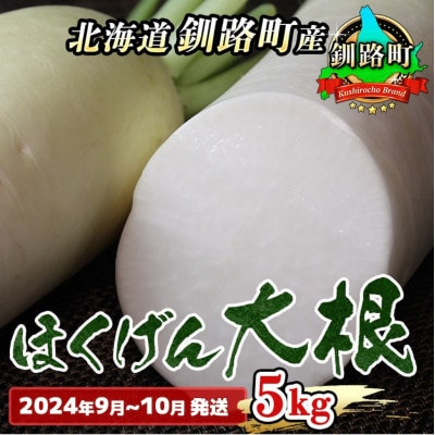 <北海道 釧路町産> 大根(だいこん)5kg <2024年9月～10月発送> 「ほくげん大根」