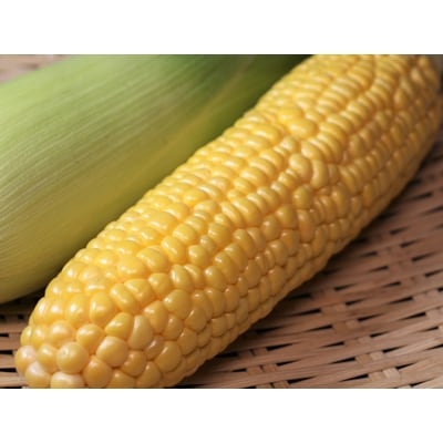 鈴木さん家のとうきび 甘いんです 7本 お礼品詳細 ふるさと納税なら さとふる