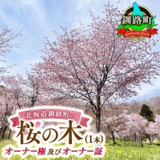 北海道釧路町の桜の木(1本)のオーナー権及びオーナー証[ふるさと納税 自然 保護]