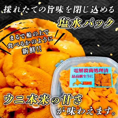 釧路町昆布森産　高級生うに100g＜エゾバフンウニ＞【2021年10～12月発送】