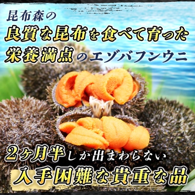 釧路町昆布森産　高級生うに200g＜エゾバフンウニ＞【2021年10～12月発送】