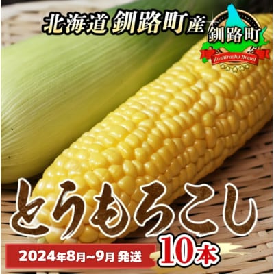 <北海道 釧路町産> とうもろこし(とうきび)10本 <2024年8月～9月発送>