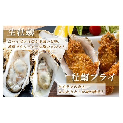 【先行受付】仙鳳趾産　牡蠣剥き身(1kg)　<2025年6月発送予定>