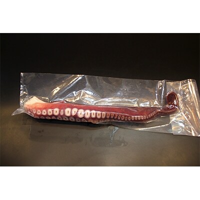 昆布森産 大タコ足(約1.0kg～約1.5kg)×2本　浜ゆで&急速冷凍