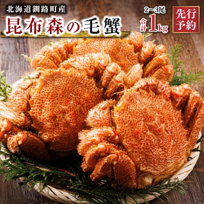 【先行受付】厳冬が旬 北海道産 昆布森 毛蟹 計1kg 2～3尾 冷凍 2026年3月以降発送