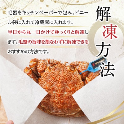 【先行受付】厳冬が旬 北海道産 昆布森 毛蟹 計1kg 2～3尾 冷凍 2026年3月以降発送