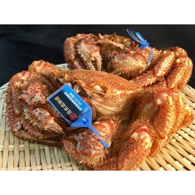 北海道 昆布森の毛蟹 (2～3尾/合計1kg)＜2021年10月発送＞