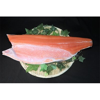 昆布森産限定活〆　トキシラズ(半身 1～1.5kg)<昆布森沖定置網><2021年6月発送>