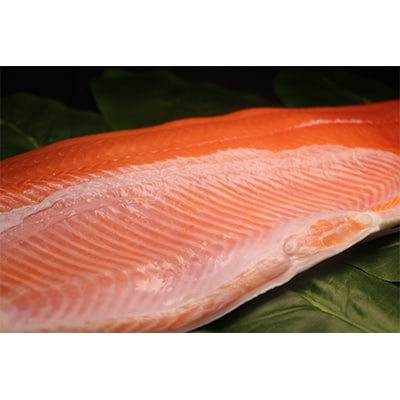 昆布森産限定活〆　トキシラズ(半身 1～1.5kg)<昆布森沖定置網><2021年6月発送>