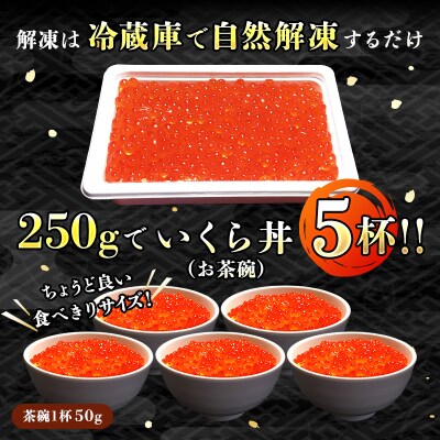 いくら醤油漬け 250g ×1個 <北海道産の鮭卵>