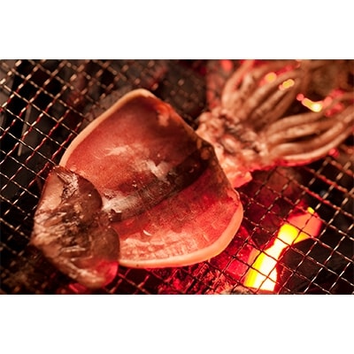 北海道産 真いか一夜干し 2杯×2個セット