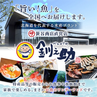 <北海道産> 氷下魚(こまい)の乾物 「むしりこまい」 65g×2個セット
