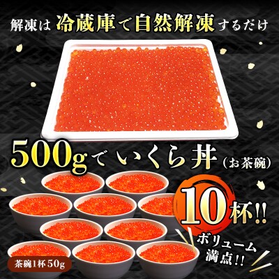【2022年2月上旬発送】北海道産　いくら醤油漬け　500g　×5個セット