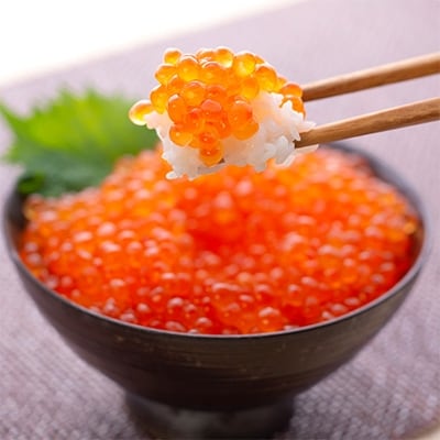 北海道産 ササヤのいくら丼ぶり80g×6個入×5セット