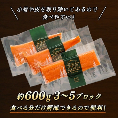 天然の 時鮭を 切り身に フォレストサーモン 600g 初夏にだけ獲れる希少な 時知らず