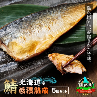 北海道産 鯖を一夜干しにした低温熟成北海さば＜半身 210g以上＞×5尾