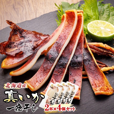 北海道産 真いか一夜干し 2杯×4個セット