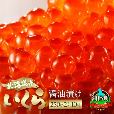 いくら醤油漬け(250g×2パック 500g)×10箱 北海道産の鮭卵