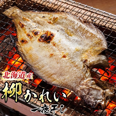 北海道産　柳かれい一夜干し　1尾×3個セット