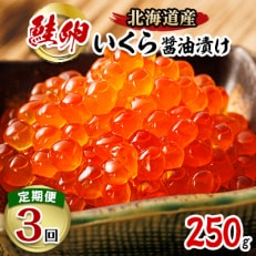 【毎月定期便】いくら醤油漬け250g&times;1個&lt;北海道産の鮭卵&gt;全3回