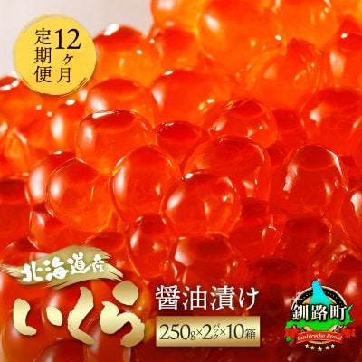 【毎月定期便】いくら醤油漬け 500g(250g×2パック)×10箱<北海道産の鮭卵>全12回
