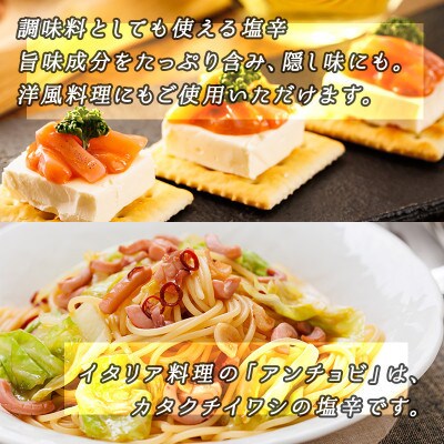 【毎月定期便】<北海道産>いか塩辛 釧路港 130g×5パック全2回