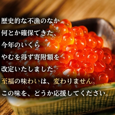 【毎月定期便】いくら醤油漬け 250g×1個 <北海道産の鮭卵>全4回