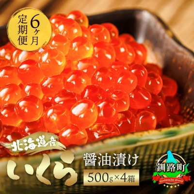 【毎月定期便】いくら醤油漬け 500g×4箱 <北海道産の鮭卵>全6回