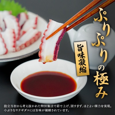 (無地熨斗付き)ヤナギダコ500g【産地直送】プリプリ食感!釧路町昆布森産 噛むたびに広がる多幸の旨